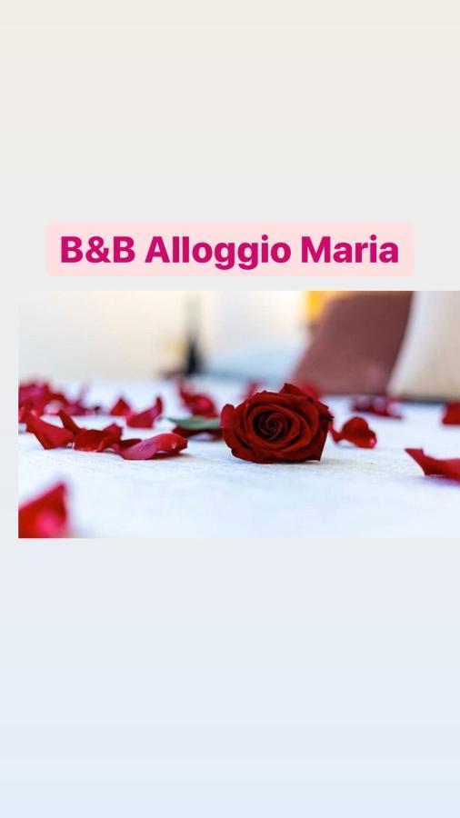 B&B Alloggio Maria Naples Extérieur photo